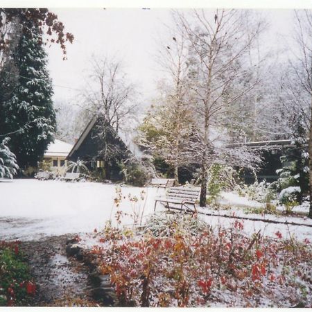 Mountain View Holiday Retreat Harrietville Εξωτερικό φωτογραφία