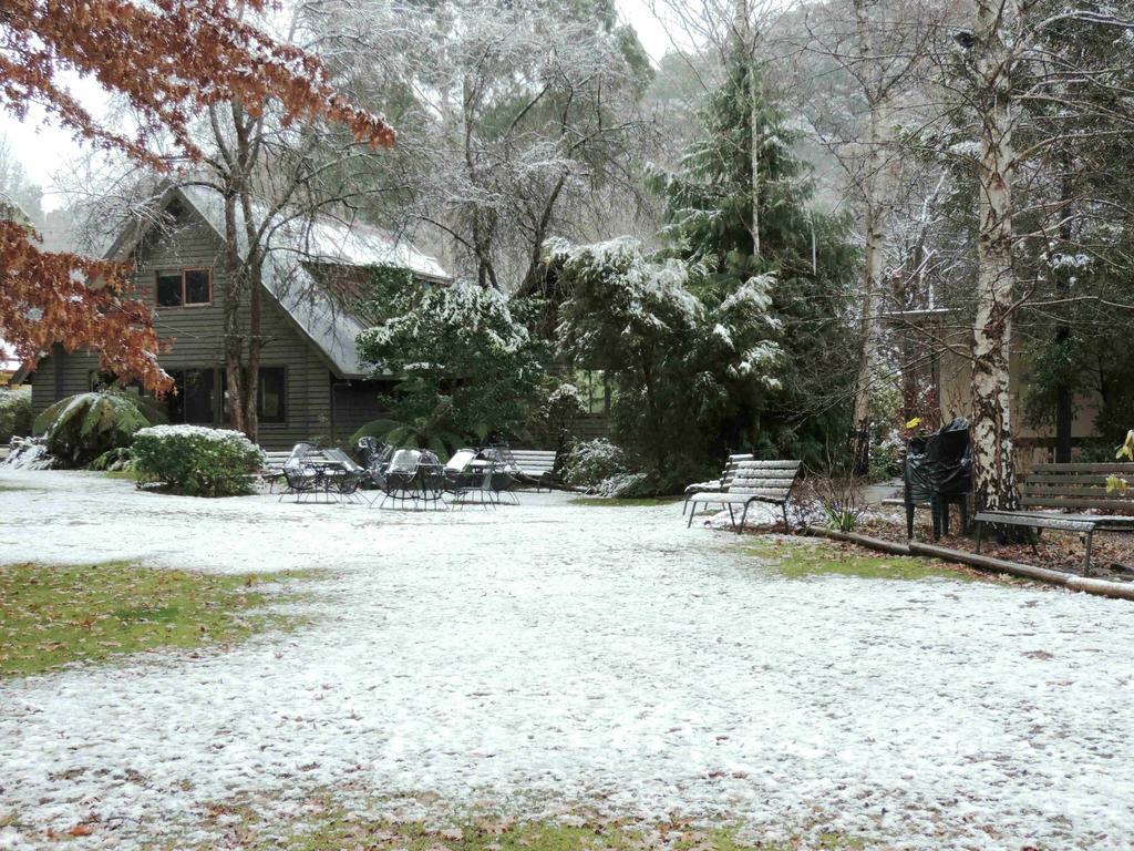 Mountain View Holiday Retreat Harrietville Εξωτερικό φωτογραφία
