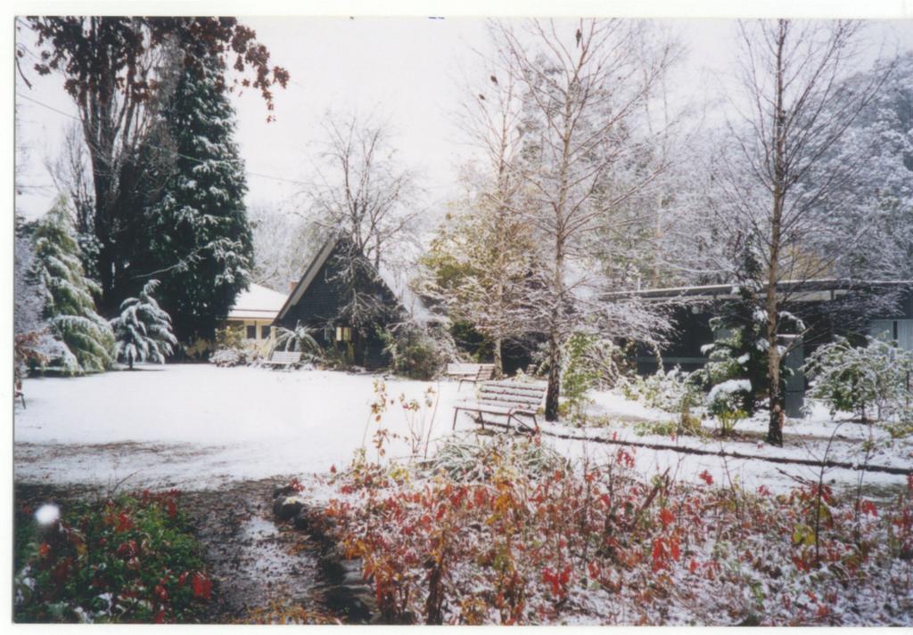 Mountain View Holiday Retreat Harrietville Εξωτερικό φωτογραφία