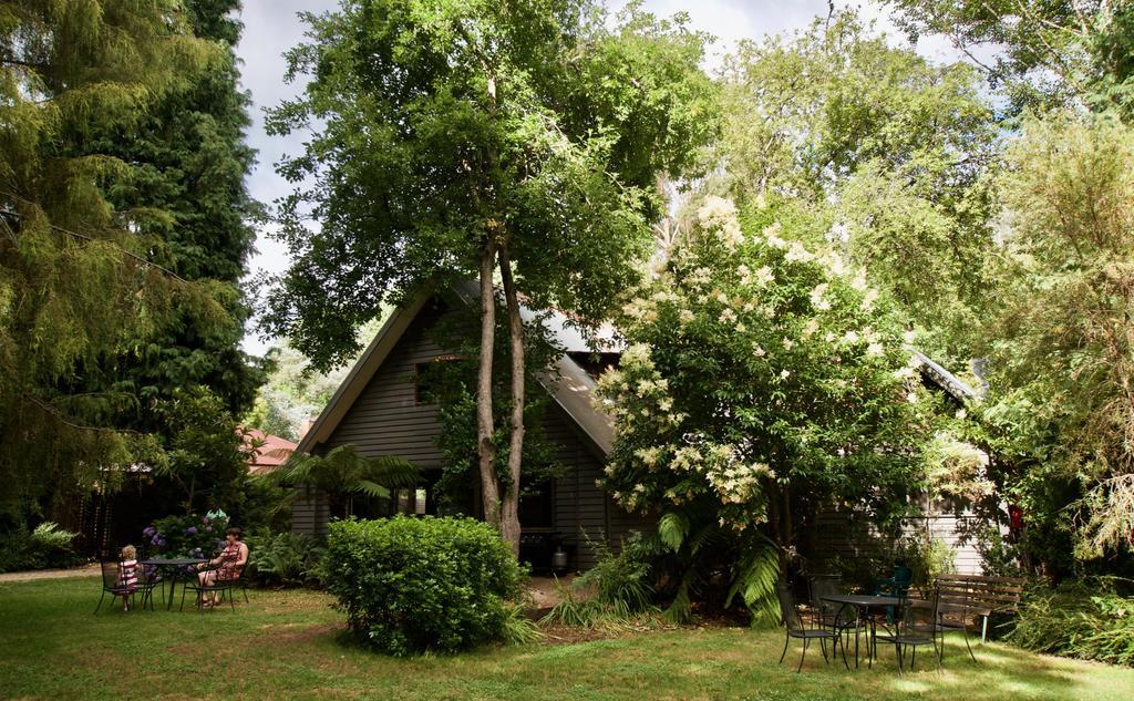 Mountain View Holiday Retreat Harrietville Εξωτερικό φωτογραφία